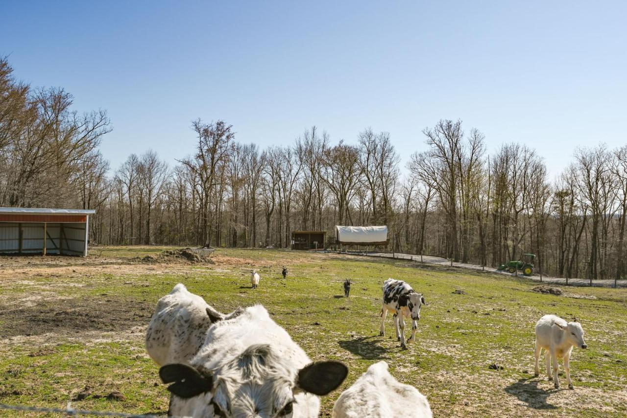 Ultimate Covered Wagon Pioneers Paradise Brownsville Ngoại thất bức ảnh